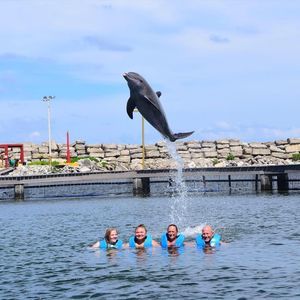 Meet your Posher, Lola